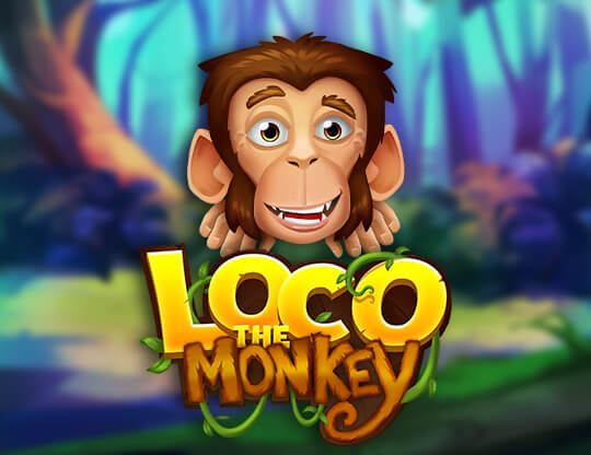 Loco the Monkey